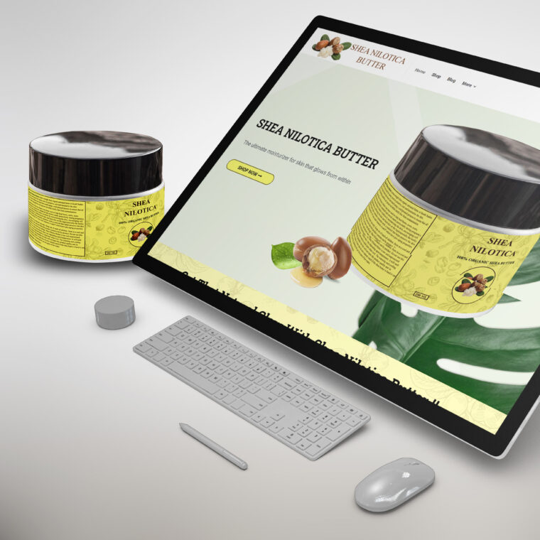 Website design services in Kenya for Chui Cleaning Services